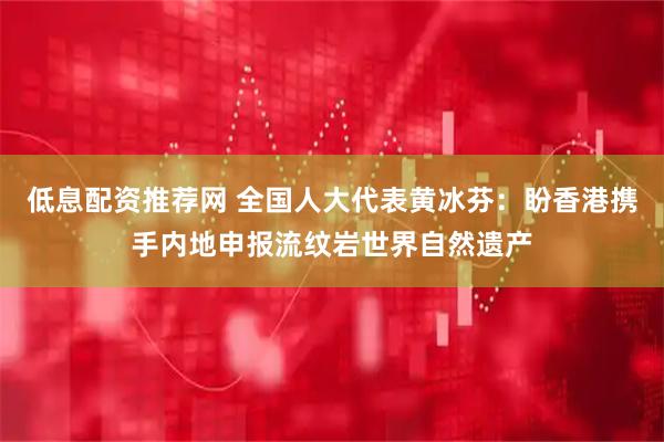 低息配资推荐网 全国人大代表黄冰芬：盼香港携手内地申报流纹岩世界自然遗产