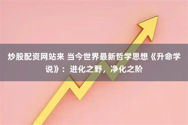 炒股配资网站来 当今世界最新哲学思想《升命学说》:进化之野,净化之阶